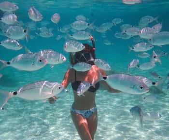 Calvi : Sortie snorkeling en bateau en bordure de réserve