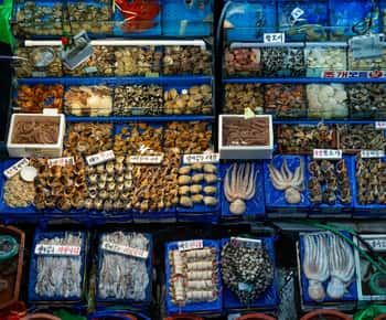 Seoul: Private Taxi Tour Car Charter - Nami Alpaca Seorak