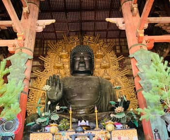 Von Osaka: Private Tour nach Nara mit Abholung von deinem Hotel