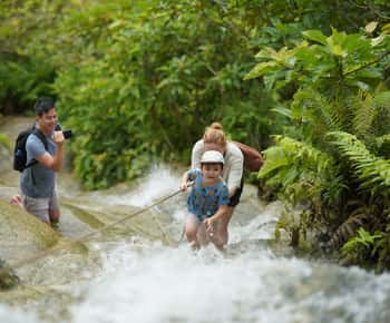 Chiang Mai: Bua Thong Sticky Waterfall & Huge Cave & Buffet