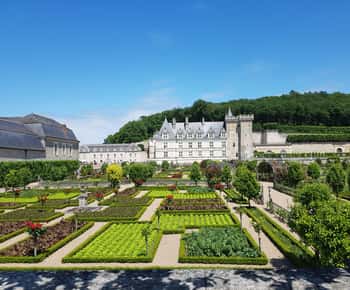 Rondleidingen: Ochtendrondleiding kastelen Azay-le-Rideau en Villandry