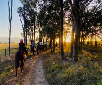 Hunter Valley: Sunset Horse Riding Tour
