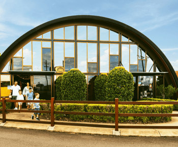 Bundaberg: Brew Tasting and Self-Guided Gallery Tour