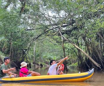 Khao Lak: Besøk i elefantreservatet og kajakktur i mangrove