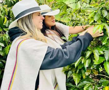 Medellín Coffee Farm Tour mit Trolley und Seilbahnfahrt