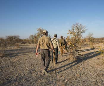 From Windhoek: Guided 1-Day Etosha National Park Safari Tour