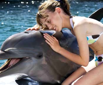 Puerto Plata: Encontro com golfinhos no Ocean World