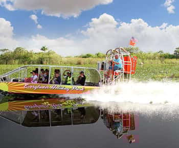 From Miami: Everglades Airboat, Wildlife Show & Bus Transfer