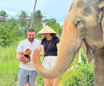 Samui: Elephant Home Sanctuary og det første elefantmuseet