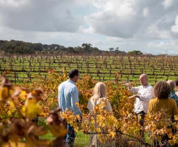 Excursão de 1 dia a Margaret River sobre vinho, produtos locais e natureza