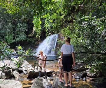 Passeio pela floresta tropical de Sinharaja