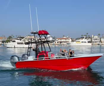 Avistamiento privado superior de 2 h de ballenas y delfines en Newport Beach