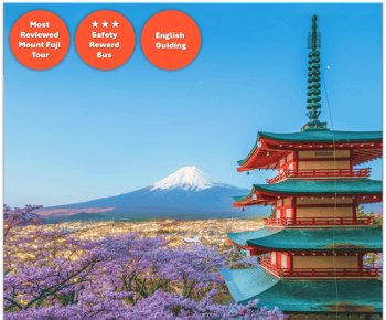 Da Tokyo: Escursione di una giornata intera sul Monte Fuji
