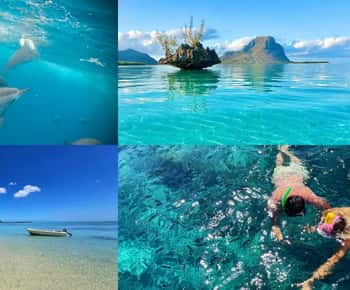 Mauritius: otok Benitier – plavanje z delfini – hitra ladja in žar