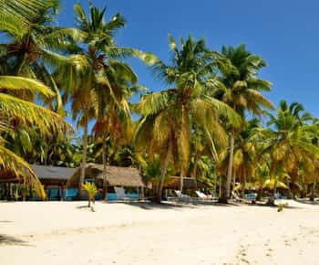 All Inclusive kirándulás Saona szigetére Punta Canából: ebéd és nyitott bár