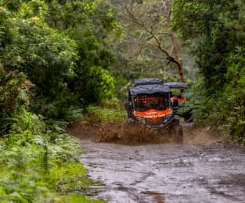 Madeira: OFF-ROAD-BUGGY-ABENTEUER NACH FUNDURAS