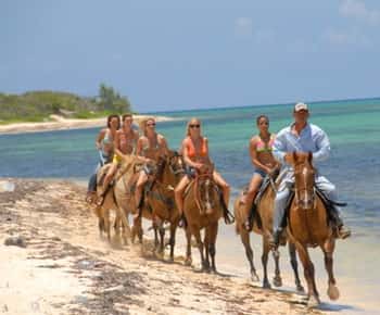 Horseback Beach Riding in the Grand Cayman