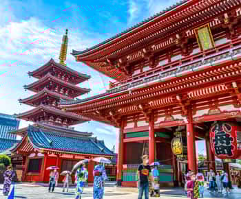 Tokyo Morning Tour: Meiji Shrine, Asakusa & Fish Market