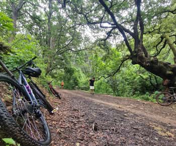 Oaxaca: fietstocht met bezoek aan de apenboom en de broodbakker