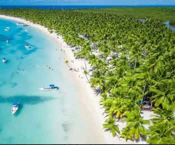 Punta Cana: Saona Island Day Trip with Lunch & Open Bar