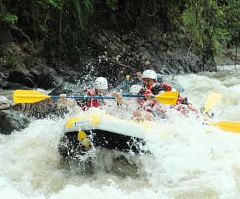 Sri Lanka: 6-Day Wildlife Safari Private Tour