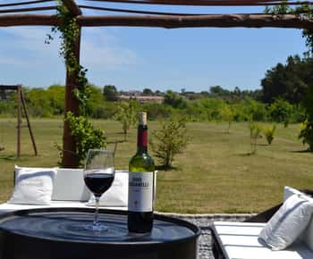 Visita dos bodegas en un día