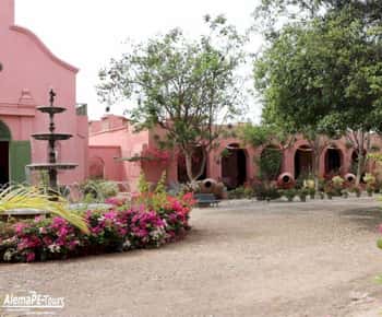 Ica: Pisco and Wine Tasting Tour with Hotel Pickup