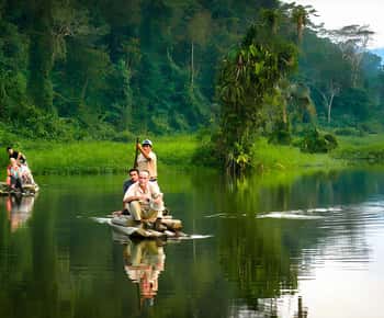 Живая природа из Куско: 3 дня Manu Jungle все включено