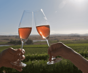 Cidade do Cabo: Excursão de 1 dia a Winelands com provas de vinho e gastronomia
