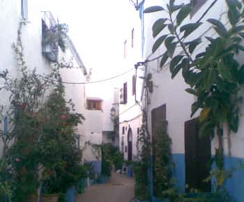 Tanger en Asilah Dagvullende tour vanuit Tanger