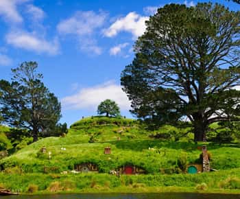 De Auckland: Excursão de ônibus Waitomo & Hobbiton com almoço
