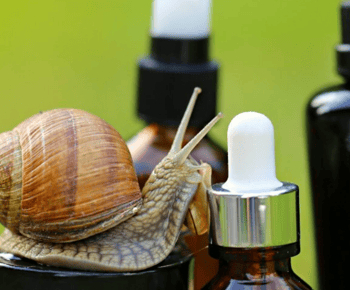 Elice (IT): "The house of snails" and beauty product
