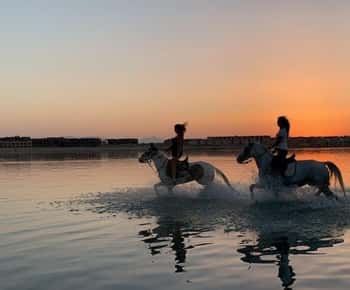 Sharm El-Sheikh : Horse Riding on the Beach