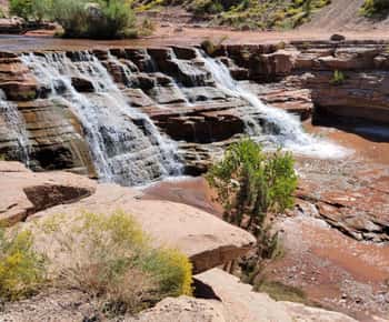 Zion National Park: Waterfall Hummer Tour with Pools