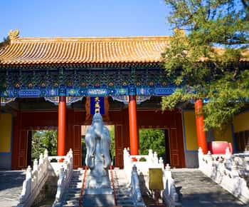 Beijing: Confucian Temple,Guozijian Entry Ticket + Transfers