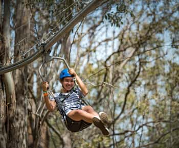Ourimbah: Central Coast Zipcoaster