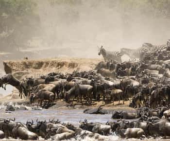 Safari de 9 días con presupuesto de grupo por Kenia y Tanzania
