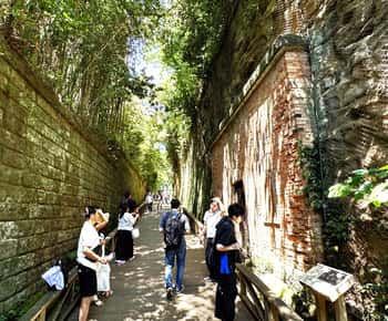 Yokosuka: Guided Island Tour to Sarushima’s Forgotten Port