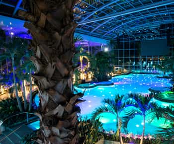 Bucuresti: Therme Bucharest Evening Entry Ticket & Transfer