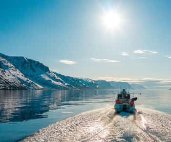 From Alta: Adventure Cruise in Alta Fjord