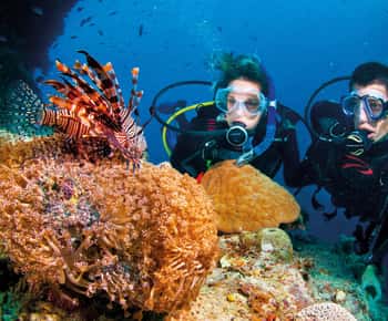 Nha Trang: tour di immersioni subacquee con pranzo e bevande