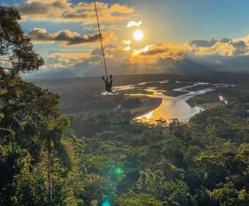 FULL DAY IN THE JUNGLE -PUYO