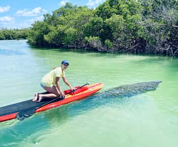 Fort Myers: Guided Standup Paddleboarding or Kayaking Tour