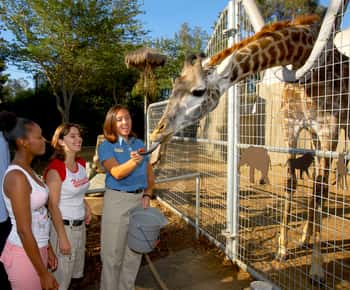 Ingresso para o Zoológico de San Diego