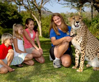 Ingresso de 1 dia para o San Diego Zoo Safari Park