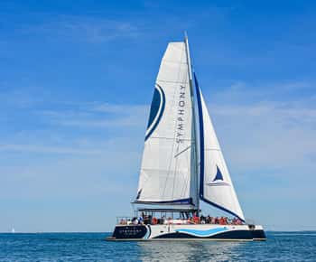 Saint-Martin-de-Ré : Island coasts in the wind's sway (2h)