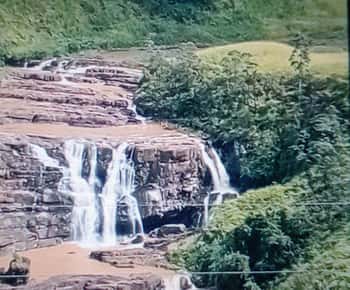 Tour in tuk tuk nella piccola Inghilterra di Nuwara Eliya