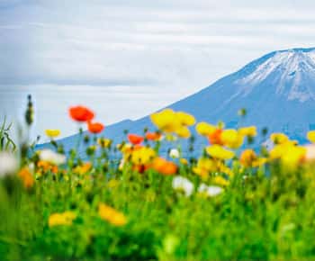 Tokio: 5. stanice hory Fuji a jednodenní výlet do lázní | Letní speciál