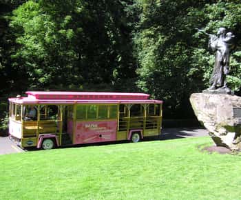 Portland, Oregon: Pink Trolley Hop-On Hop-Off Tour