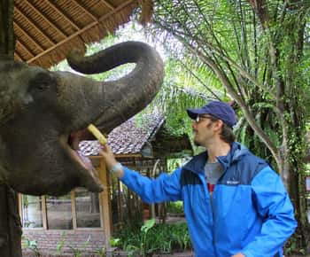 Bali: Taman Safari en olifanten voeren met hotelvervoer